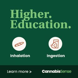 Higher Education Banner