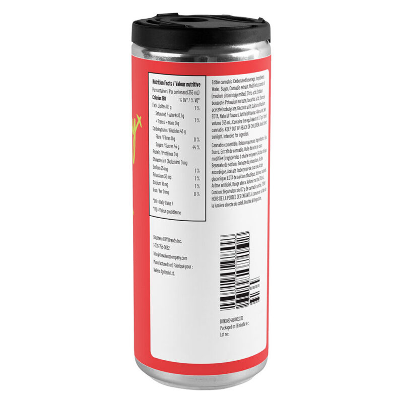 Vacay Sparkling Beverage - Image 2