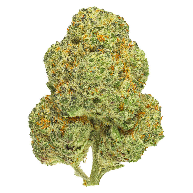 San Rafael 14g - Image 2
