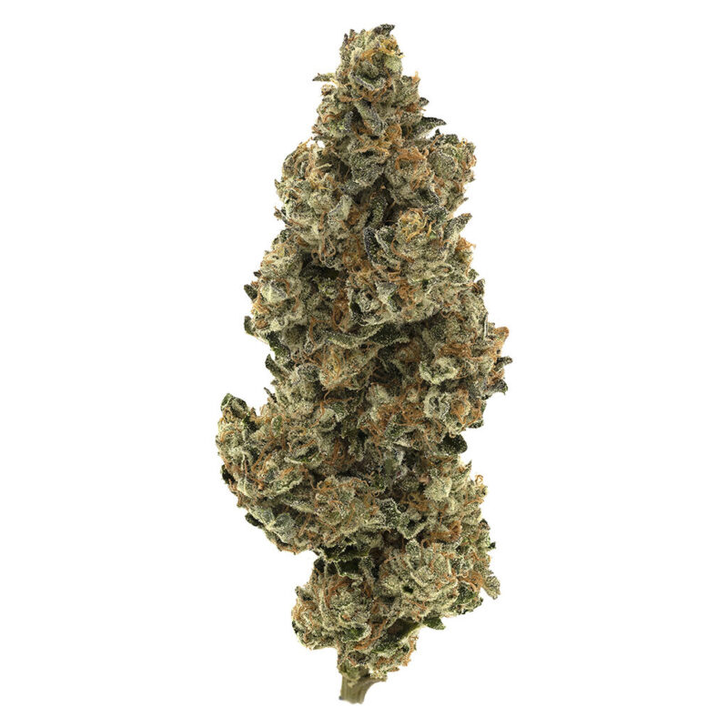 Simply Bare 28g - Image 3