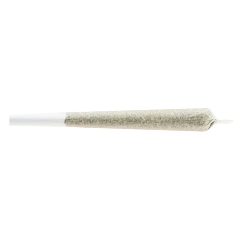 Good Supply Single - Image 3