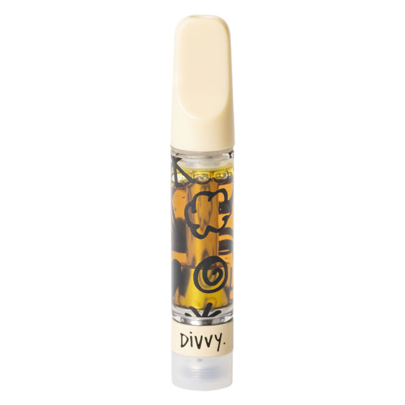 Divvy 510 - Image 3