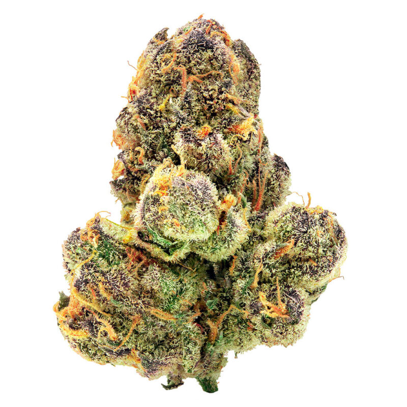 Spinach 3.5g - Image 5