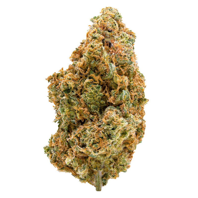 Spinach 28g - Image 5