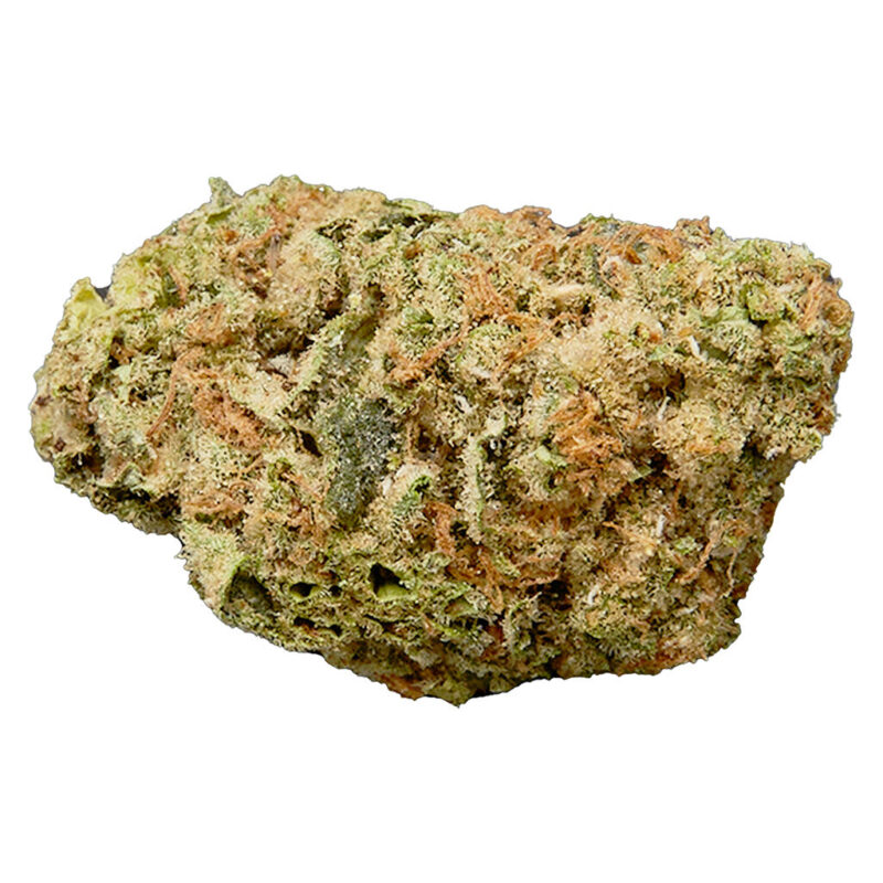 Qwest 14g - Image 4