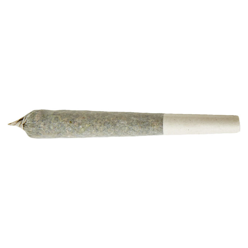 Xplor Infused PR - Image 2