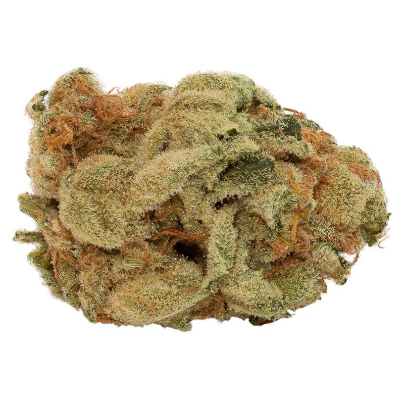 Divvy 14g - Image 5