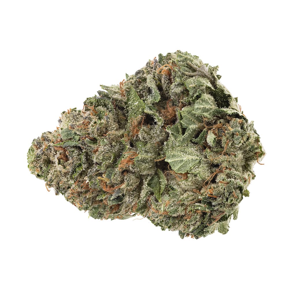 Homestead 28g