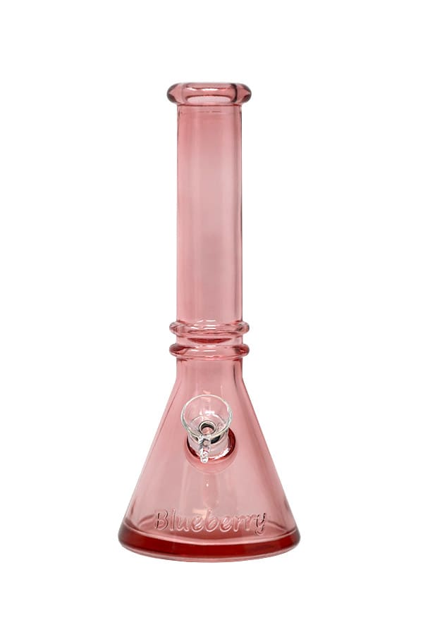 Blueberry Beaker Bong