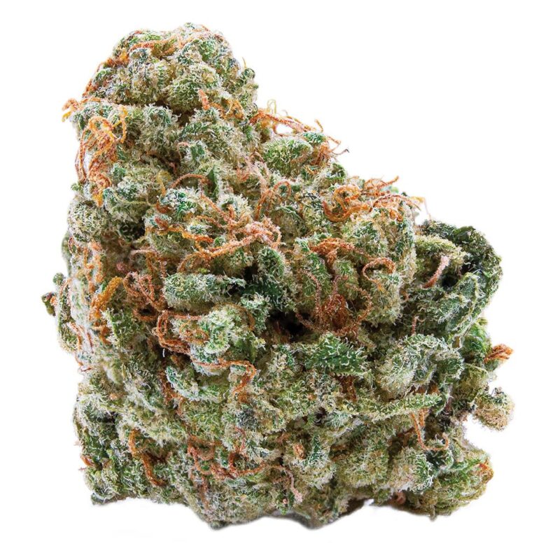 Spinach 28g - Image 2
