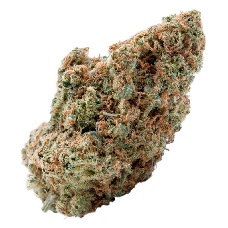 Spinach 3.5g - Image 6