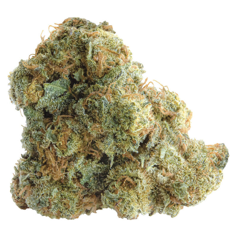 Spinach 28g - Image 3