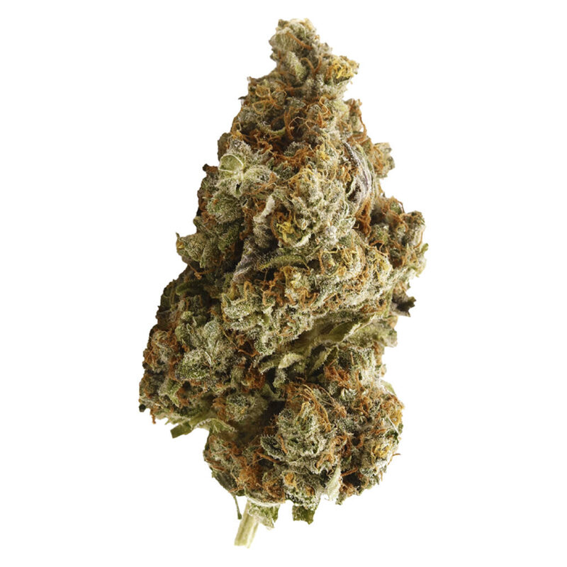 Palmetto 28g - Image 2