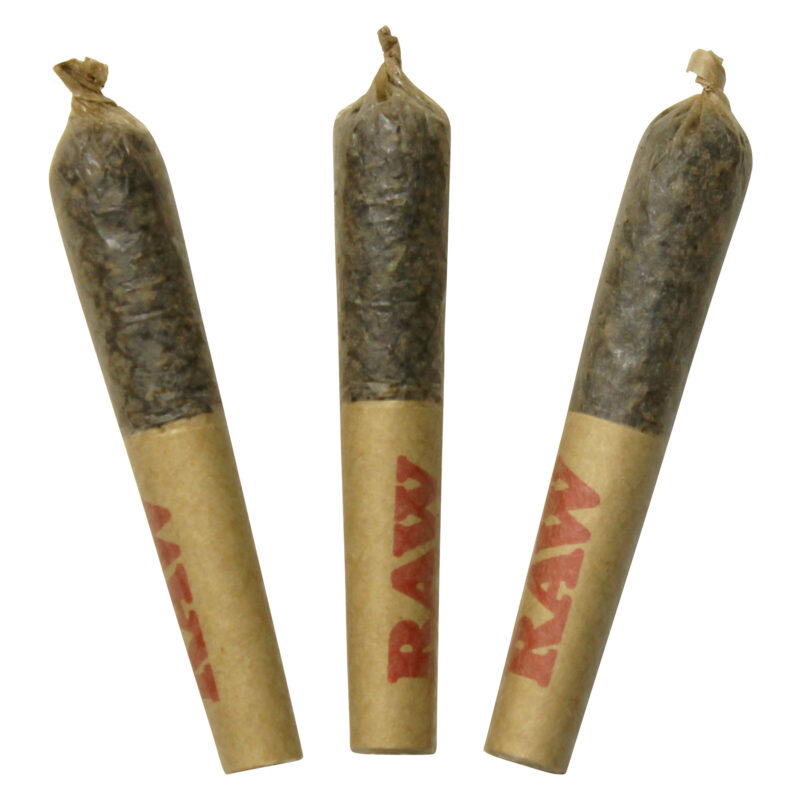 Dab Bods Infused PR - Image 5
