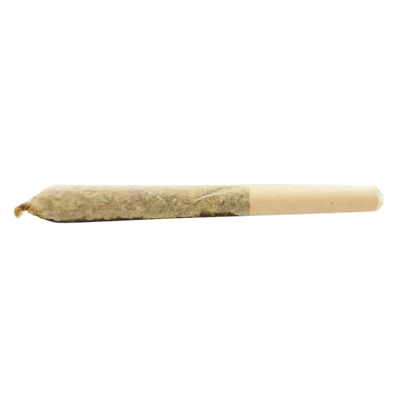 Dab Bods Infused PR - Image 3