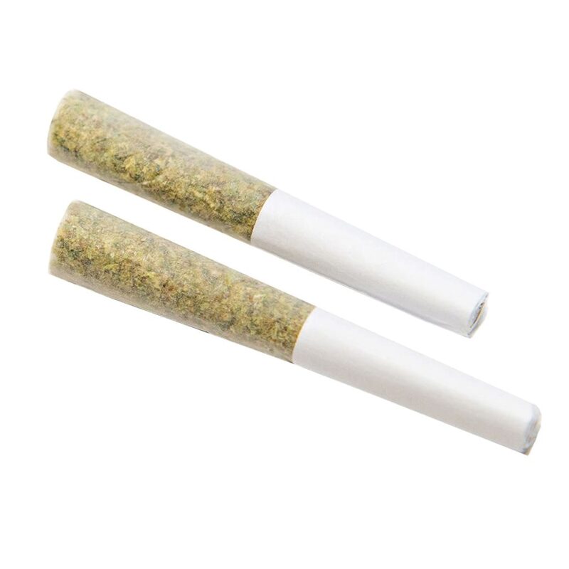Color Cannabis PR - Image 5