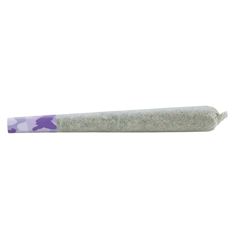 Shred PR - Image 4