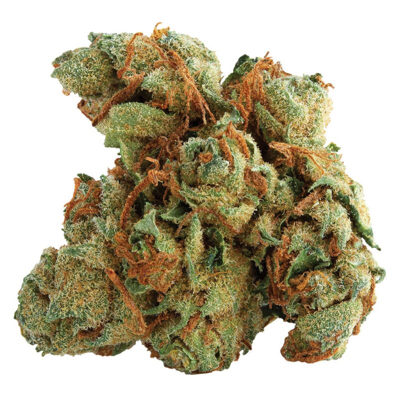 Spinach 28g - Image 6