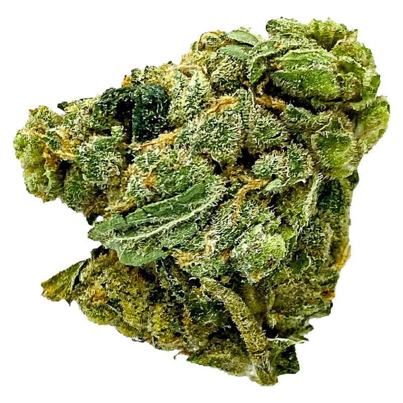 SKOSHA 7g - Image 2
