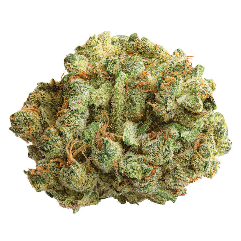 Spinach 3.5g - Image 9