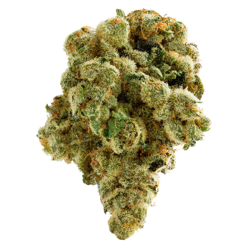 Spinach 3.5g - Image 2