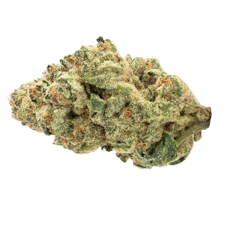 The Loud Plug 28g - Image 2