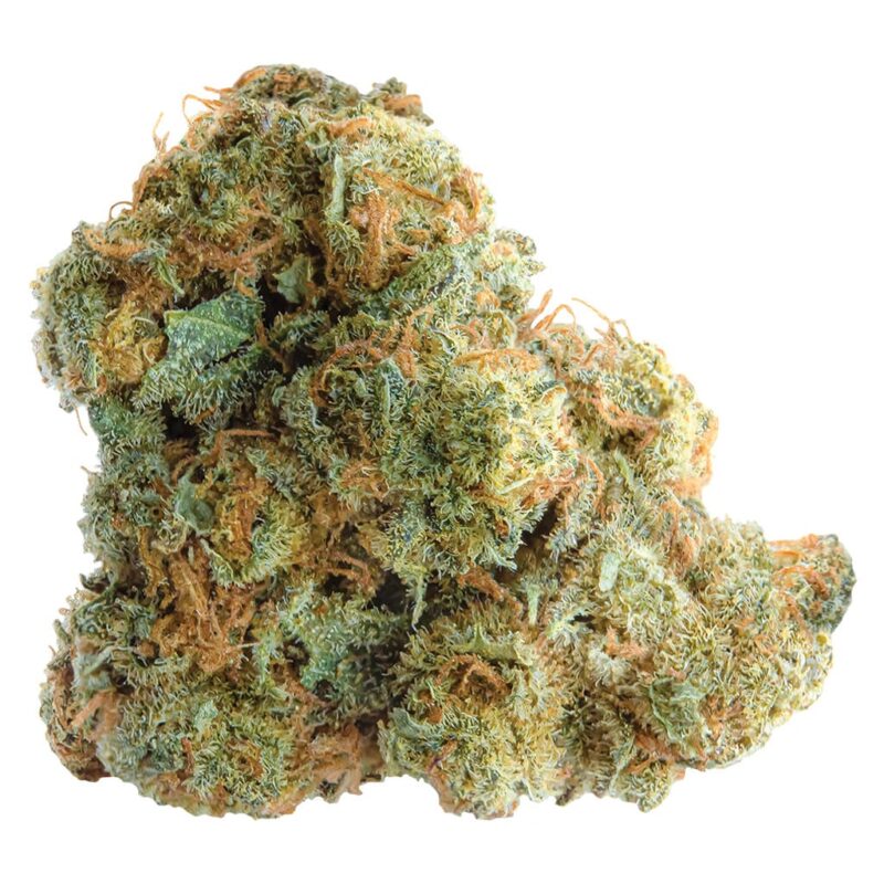 Spinach 3.5g - Image 7