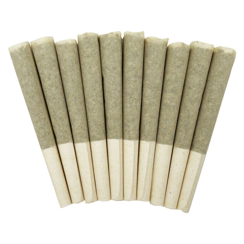 SKOSHA PR - Image 2