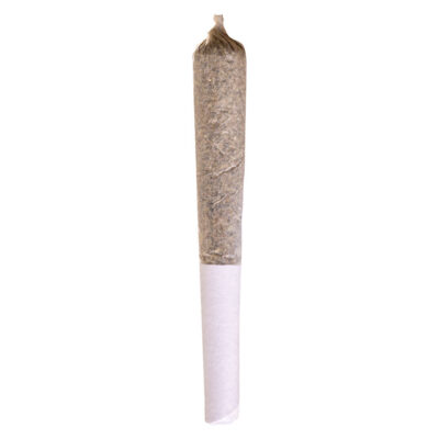 Potluck PR - Beaver Tail 1 x 0.5g Pre-Roll