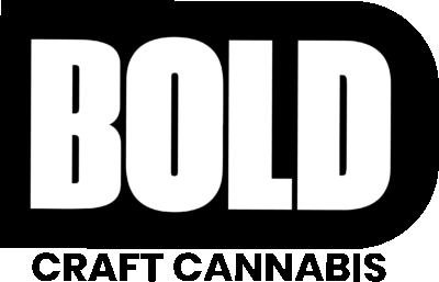 BOLD PR