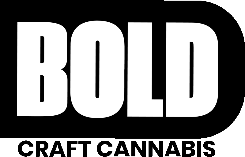 BOLD 510 - Image 2