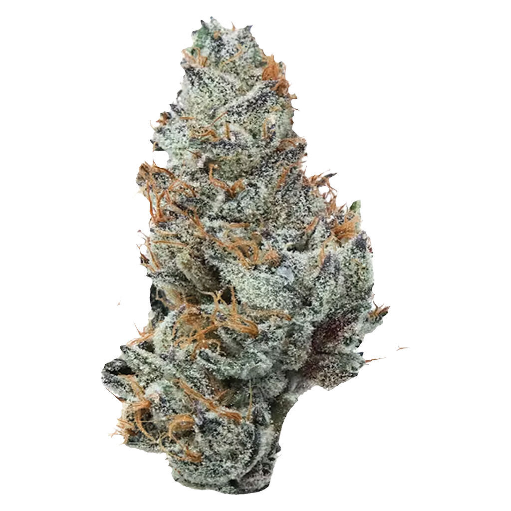 Potluck 14g