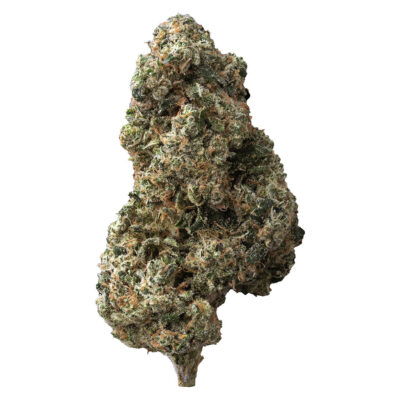 The Loud Plug 7g