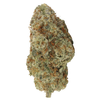 Carmel 3.5g - Myrtle Beach 3.5g Dried Flower
